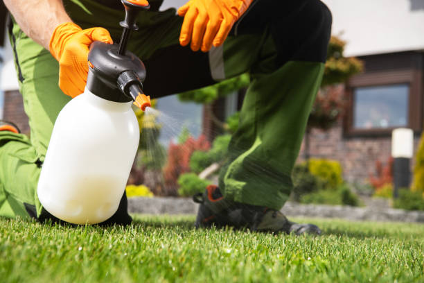 Best Pest Prevention Services  in Tigerville, SC