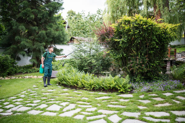 Best Pest Control for Homes  in Tigerville, SC
