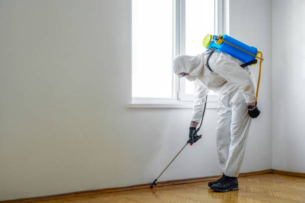 Best Local Pest Control Services  in Tigerville, SC